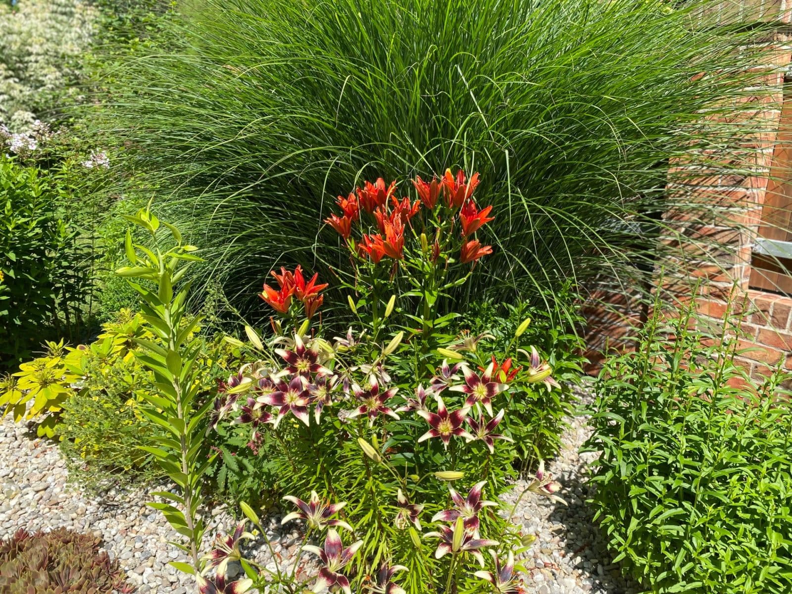 Predaj domu 114 m², pozemek 905 m², Mnichovo Hradiště, Středočeský kraj Predaj domu 114 m², pozemek 905 m², Mnichovo Hradiště, Středočeský kraj