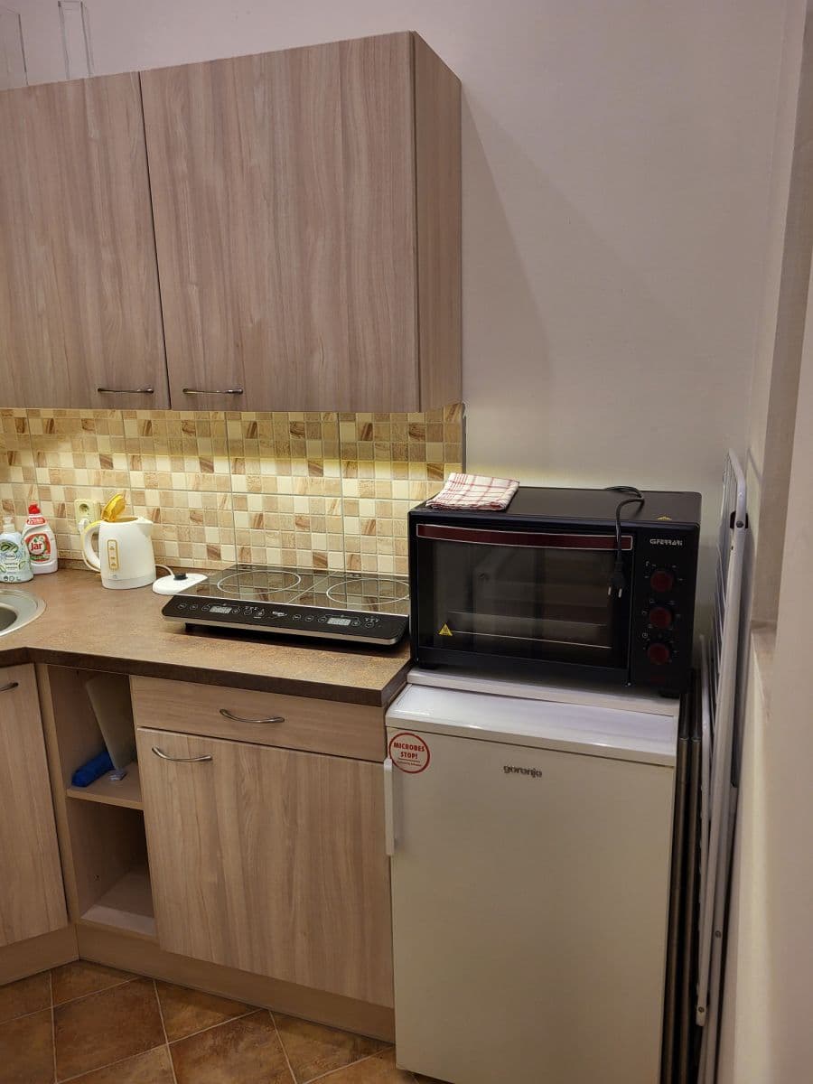 Prenájom bytu 48 m², Františka Křížka, Praha, Praha Prenájom bytu 48 m², Františka Křížka, Praha, Praha