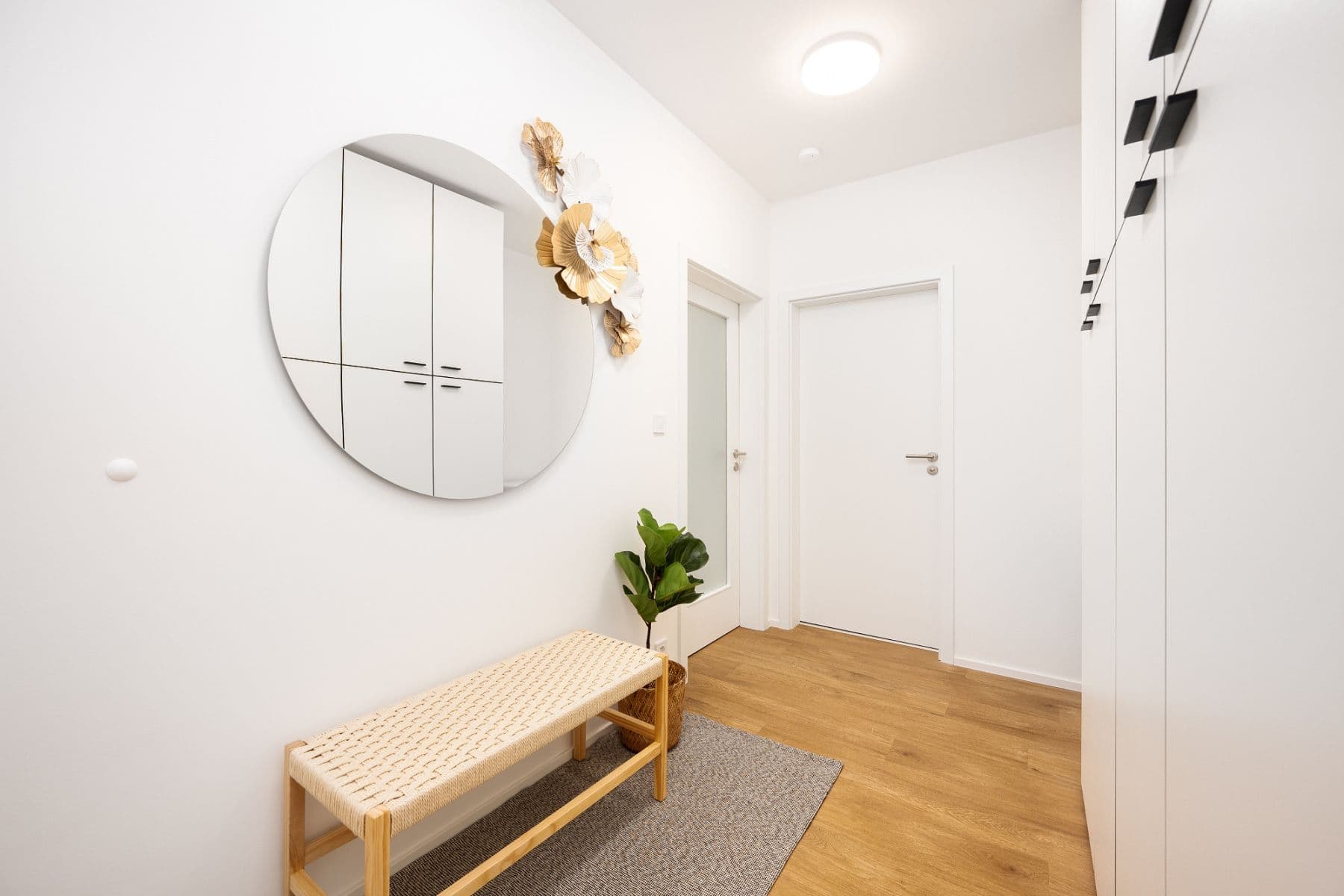 Prenájom bytu 40 m², Cejl, Brno, Jihomoravský kraj Prenájom bytu 40 m², Cejl, Brno, Jihomoravský kraj