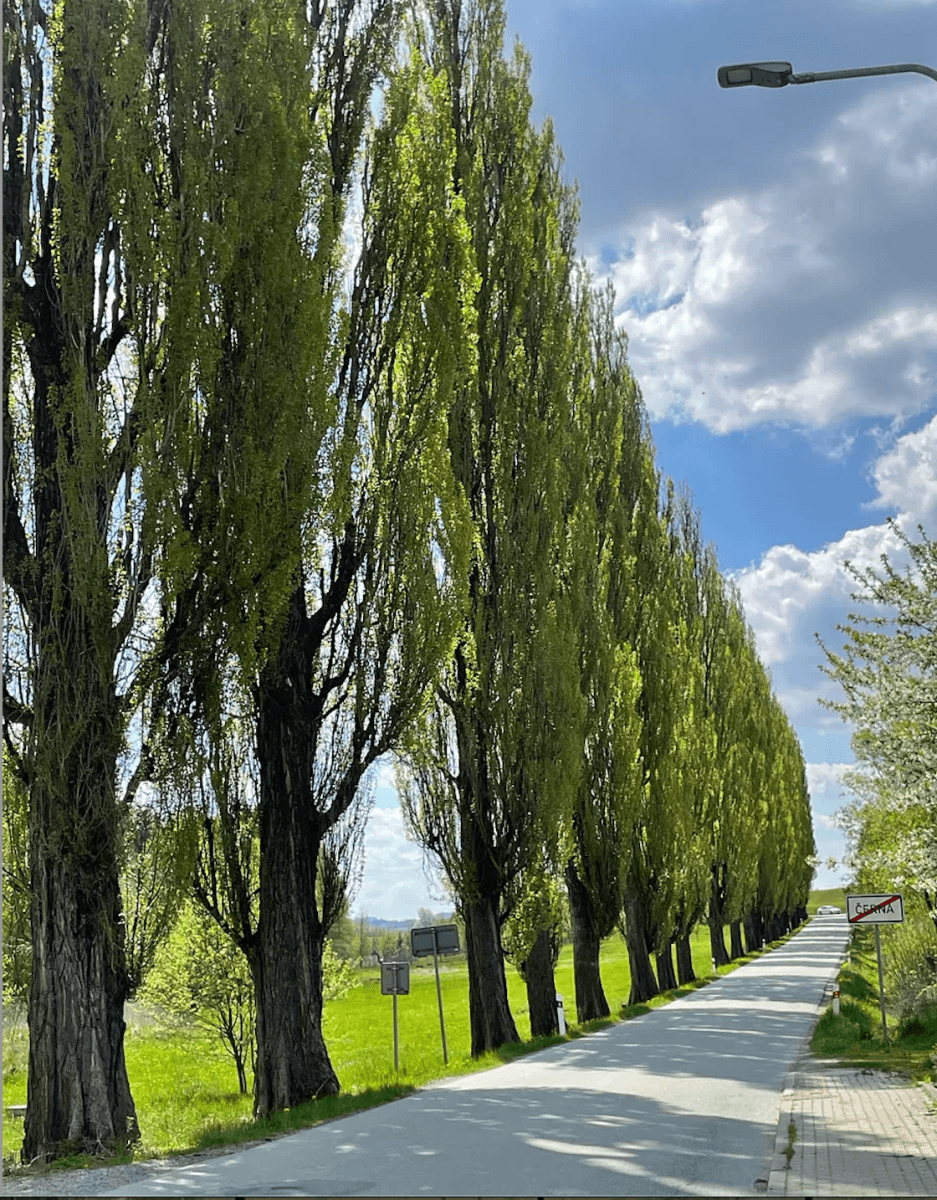 Predaj bytu 2-izbový 52 m², Černá, Kraj Vysočina Predaj bytu 2-izbový 52 m², Černá, Kraj Vysočina