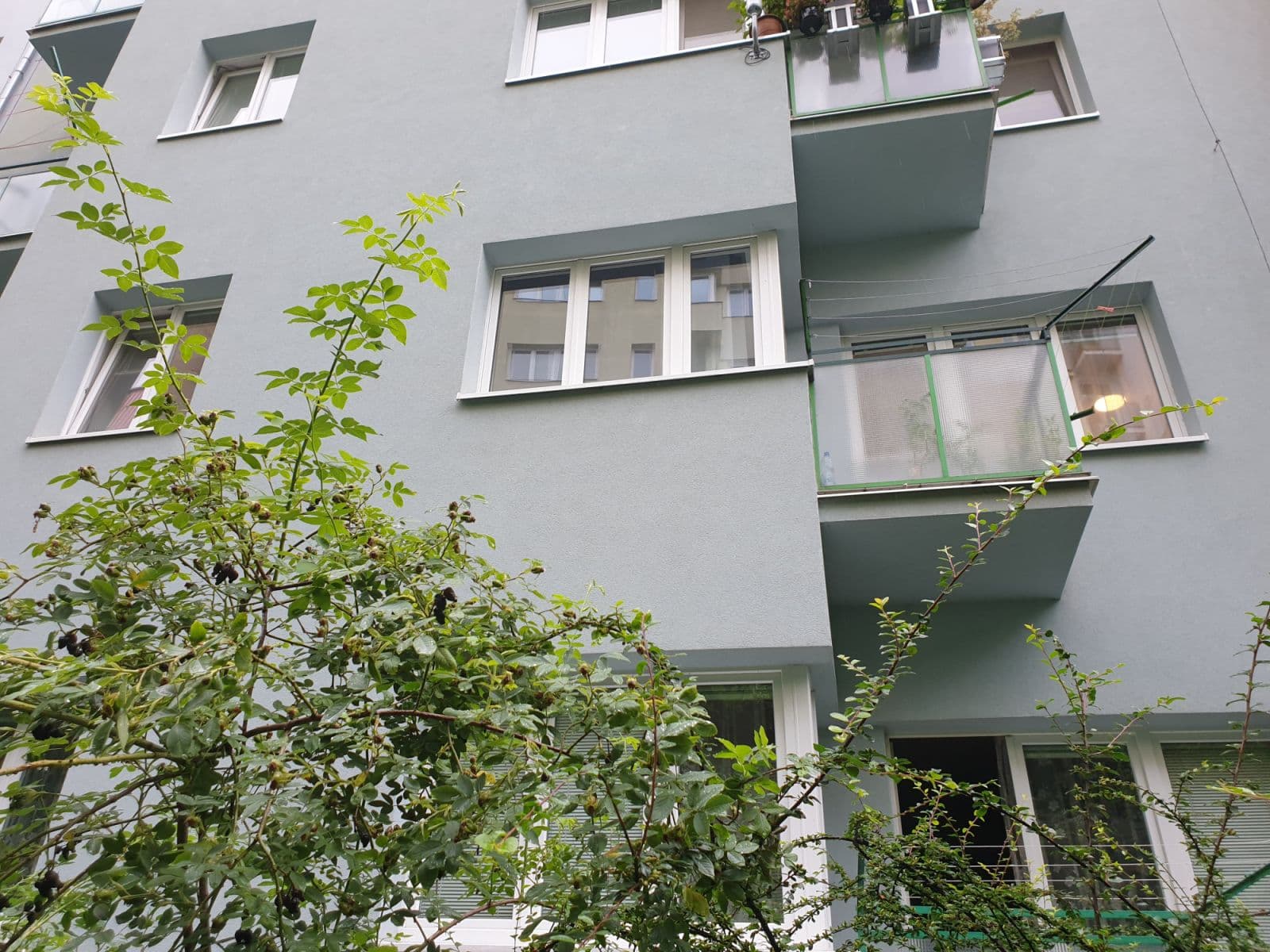 Prenájom bytu 50 m², Pekařská, Brno, Jihomoravský kraj Prenájom bytu 50 m², Pekařská, Brno, Jihomoravský kraj