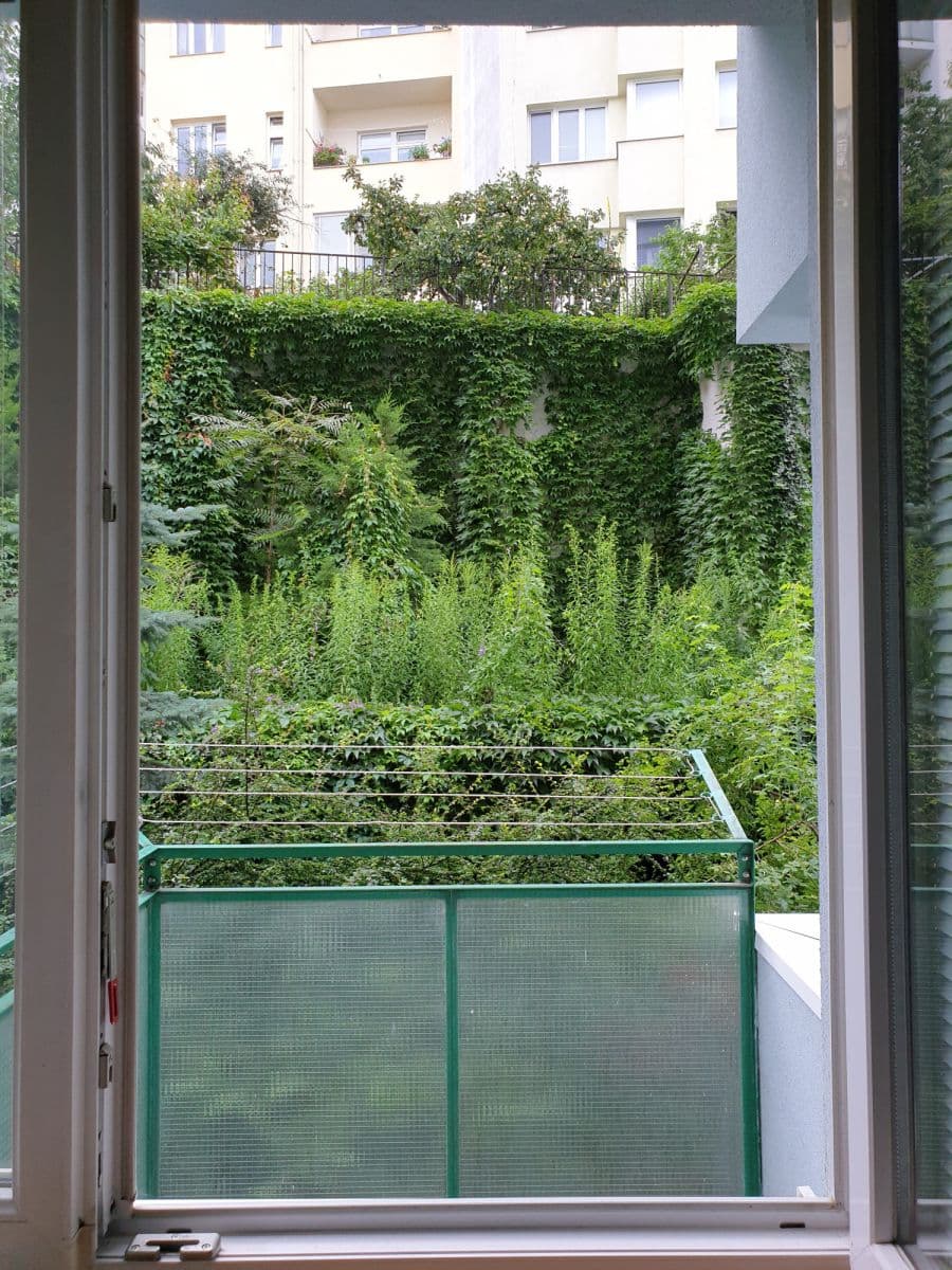 Prenájom bytu 50 m², Pekařská, Brno, Jihomoravský kraj Prenájom bytu 50 m², Pekařská, Brno, Jihomoravský kraj