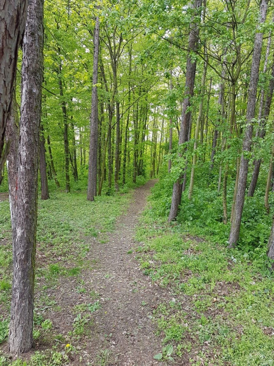 Prenájom bytu 60 m², Šárecká, Praha, Praha Prenájom bytu 60 m², Šárecká, Praha, Praha