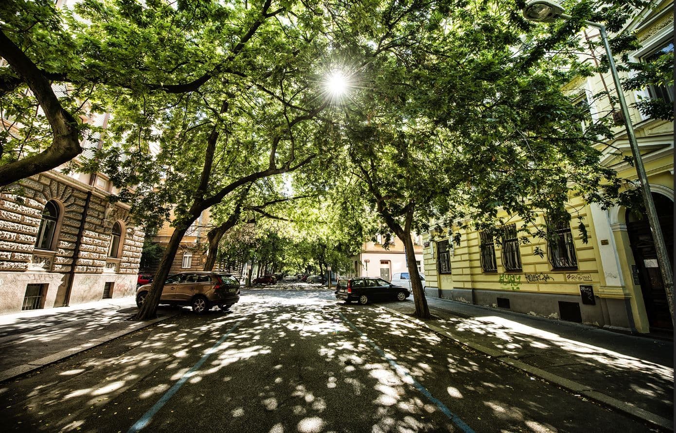 Prenájom bytu 110 m², Mánesova, Praha, Praha Prenájom bytu 110 m², Mánesova, Praha, Praha
