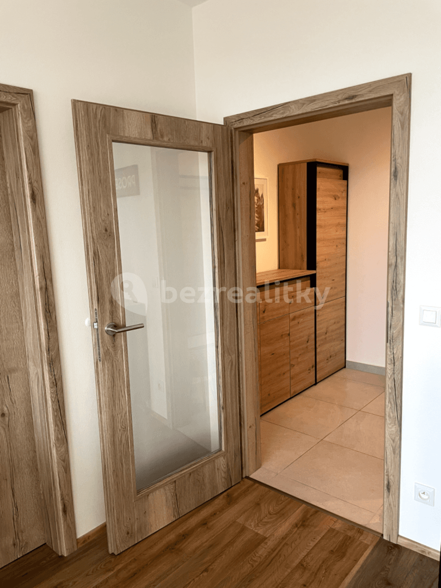 Prenájom bytu 1-izbový 47 m², Řepova, Brno, Jihomoravský kraj Prenájom bytu 1-izbový 47 m², Řepova, Brno, Jihomoravský kraj