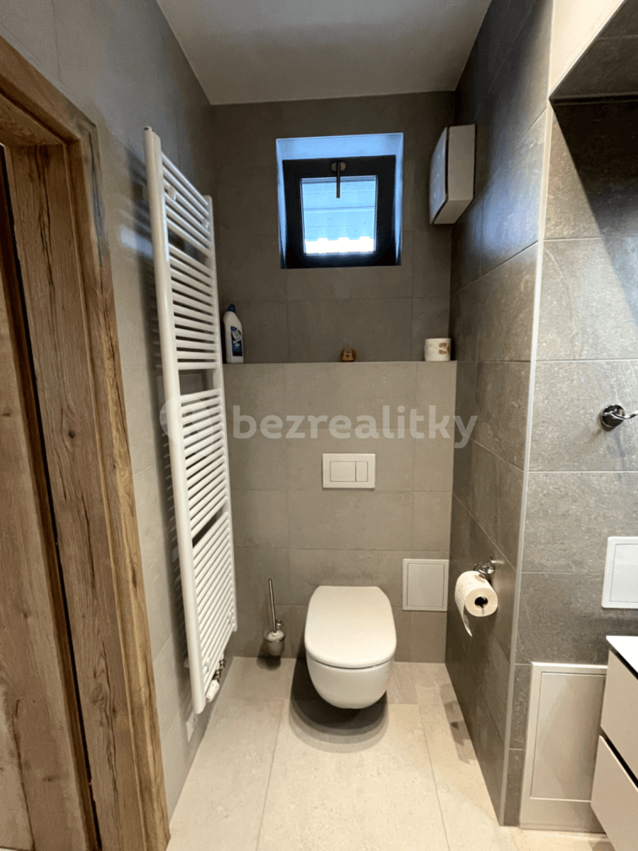 Prenájom bytu 1-izbový 47 m², Řepova, Brno, Jihomoravský kraj Prenájom bytu 1-izbový 47 m², Řepova, Brno, Jihomoravský kraj