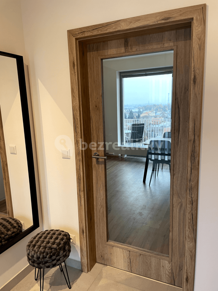 Prenájom bytu 1-izbový 47 m², Řepova, Brno, Jihomoravský kraj Prenájom bytu 1-izbový 47 m², Řepova, Brno, Jihomoravský kraj