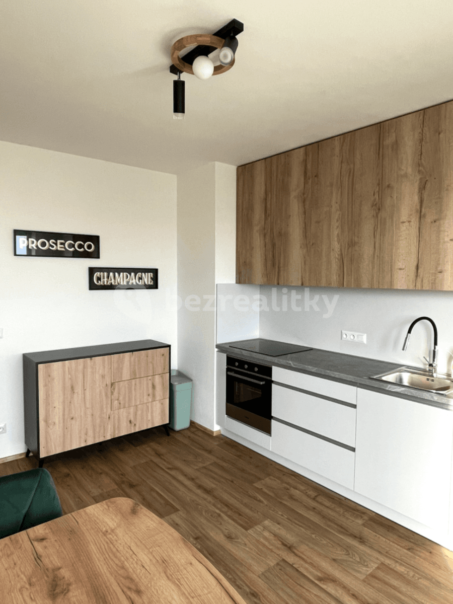 Prenájom bytu 1-izbový 47 m², Řepova, Brno, Jihomoravský kraj Prenájom bytu 1-izbový 47 m², Řepova, Brno, Jihomoravský kraj