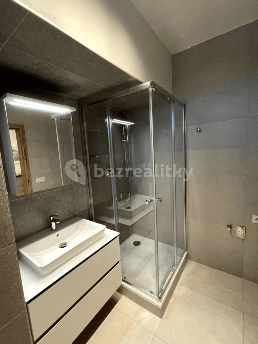 Prenájom bytu 1-izbový 47 m², Řepova, Brno, Jihomoravský kraj Prenájom bytu 1-izbový 47 m², Řepova, Brno, Jihomoravský kraj