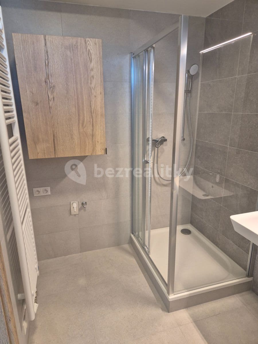 Prenájom bytu 2-izbový 41 m², Řepova, Brno, Jihomoravský kraj Prenájom bytu 2-izbový 41 m², Řepova, Brno, Jihomoravský kraj