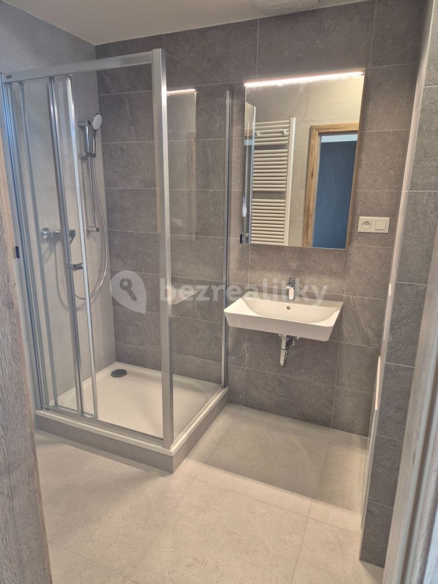 Prenájom bytu 2-izbový 41 m², Řepova, Brno, Jihomoravský kraj Prenájom bytu 2-izbový 41 m², Řepova, Brno, Jihomoravský kraj