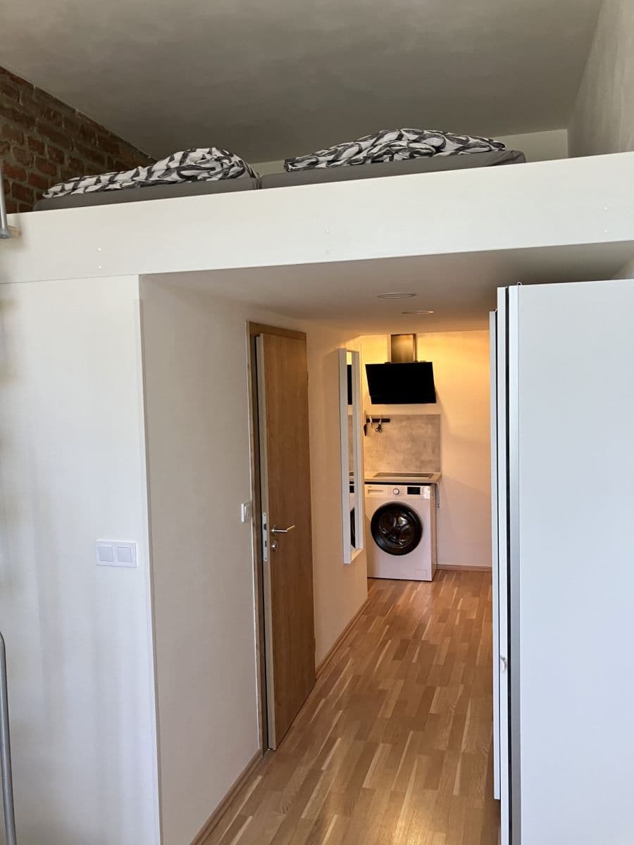 Prenájom bytu 22 m², Radlická, Praha, Praha Prenájom bytu 22 m², Radlická, Praha, Praha