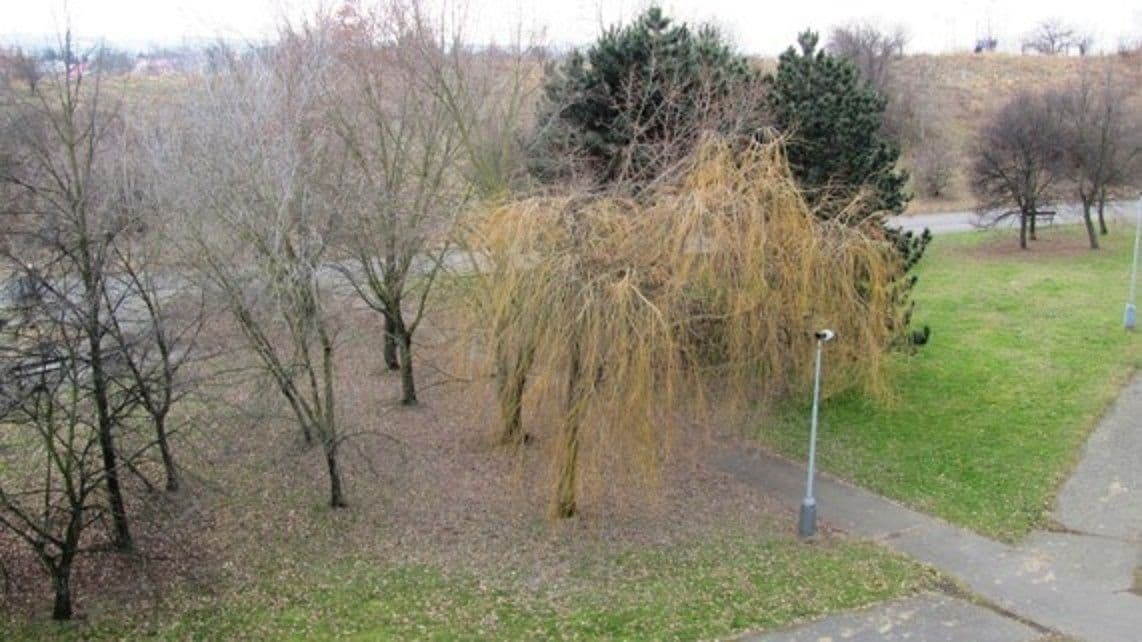 Prenájom bytu 4-izbový 90 m², Radimovická, Praha, Praha Prenájom bytu 4-izbový 90 m², Radimovická, Praha, Praha
