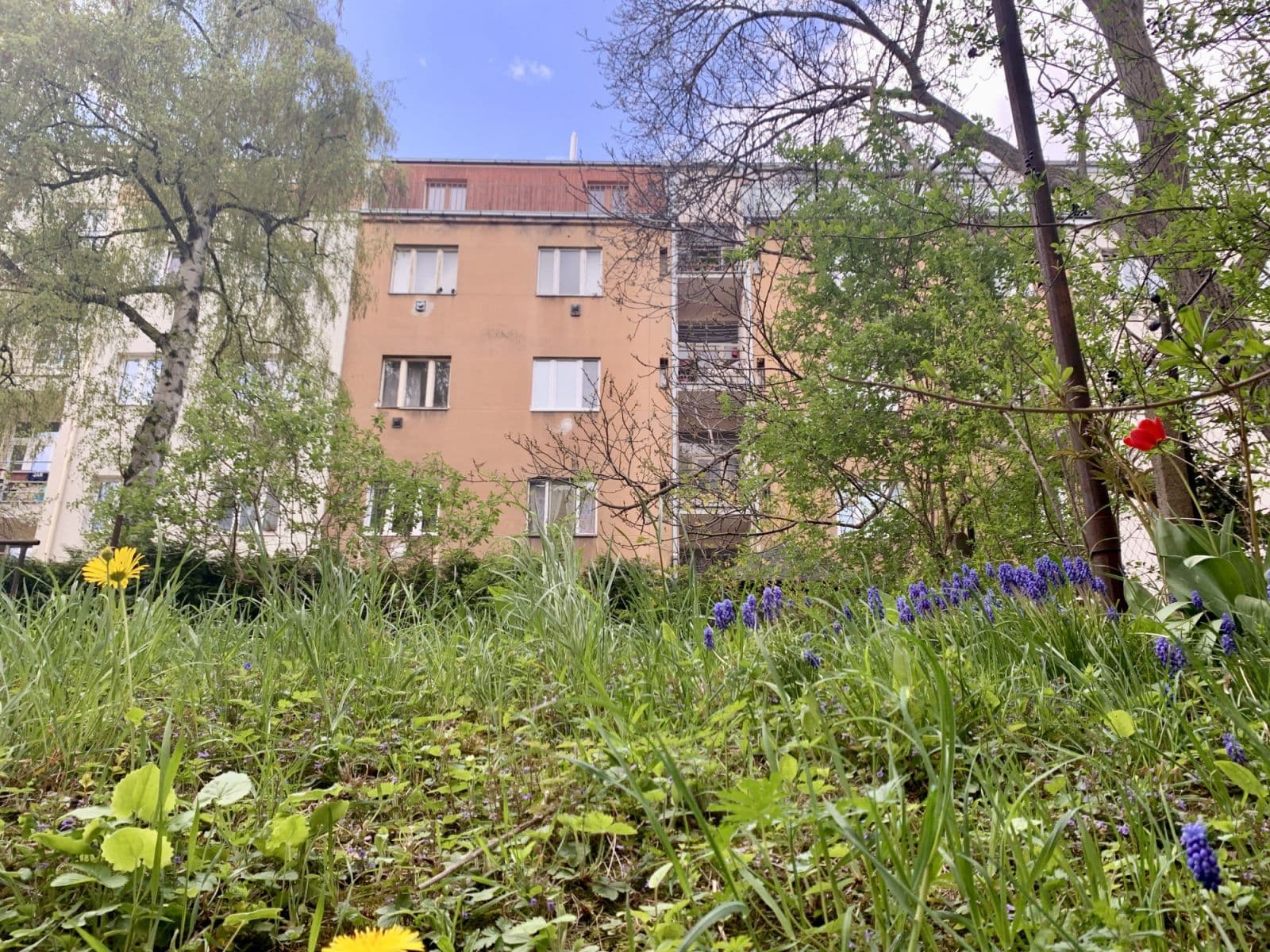 Prenájom bytu 38 m², Počátecká, Praha, Praha Prenájom bytu 38 m², Počátecká, Praha, Praha