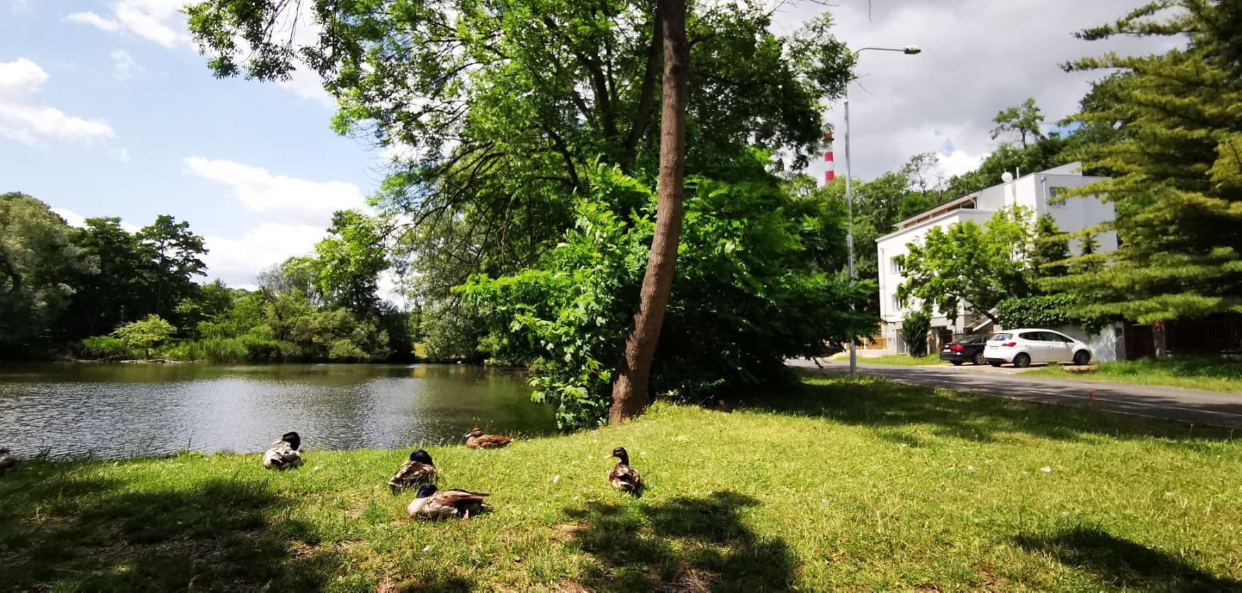 Prenájom bytu 86 m², Zahradníčkova, Praha, Praha Prenájom bytu 86 m², Zahradníčkova, Praha, Praha