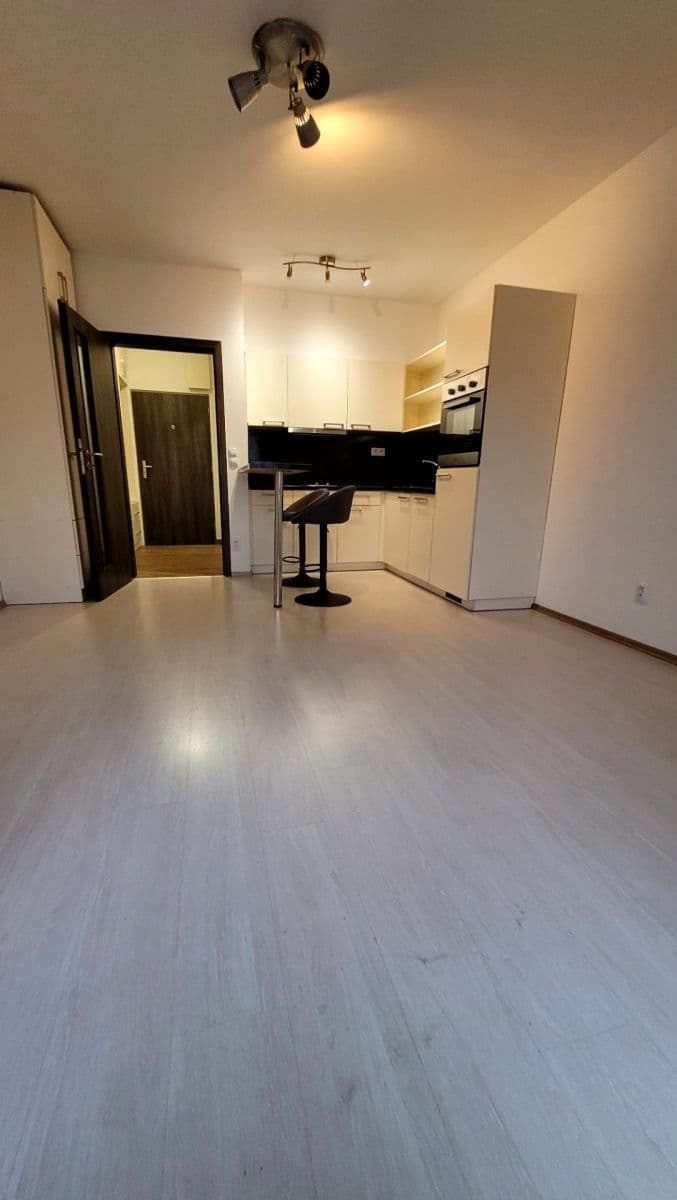 Prenájom bytu 1-izbový 31 m², Frýdecká, Praha, Praha Prenájom bytu 1-izbový 31 m², Frýdecká, Praha, Praha