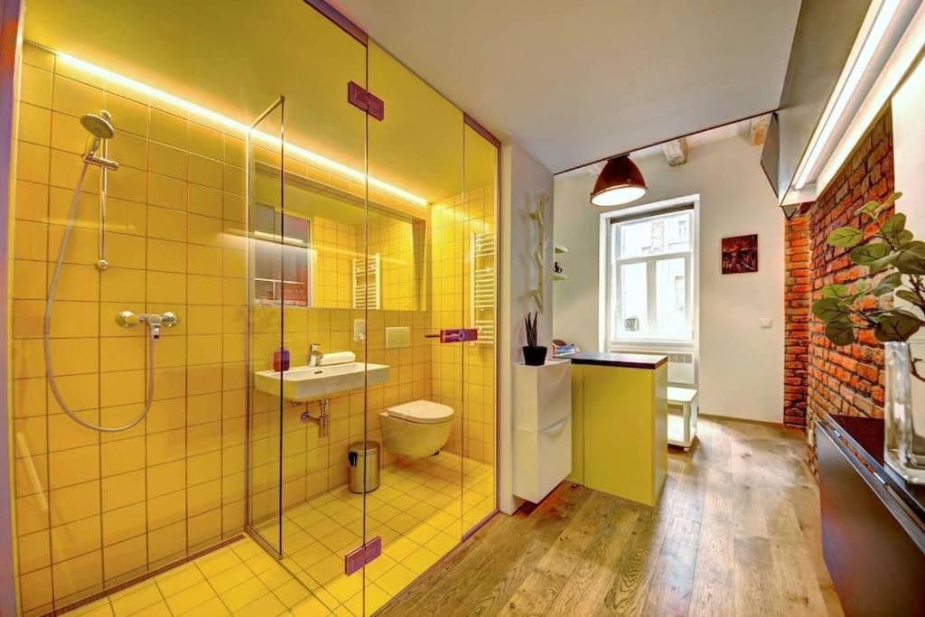 Prenájom bytu 20 m², Vrchlického, Praha, Praha Prenájom bytu 20 m², Vrchlického, Praha, Praha