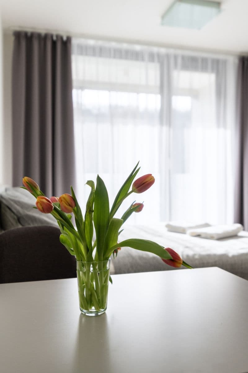 Prenájom bytu 35 m², Hlaváčkova, Praha, Praha Prenájom bytu 35 m², Hlaváčkova, Praha, Praha