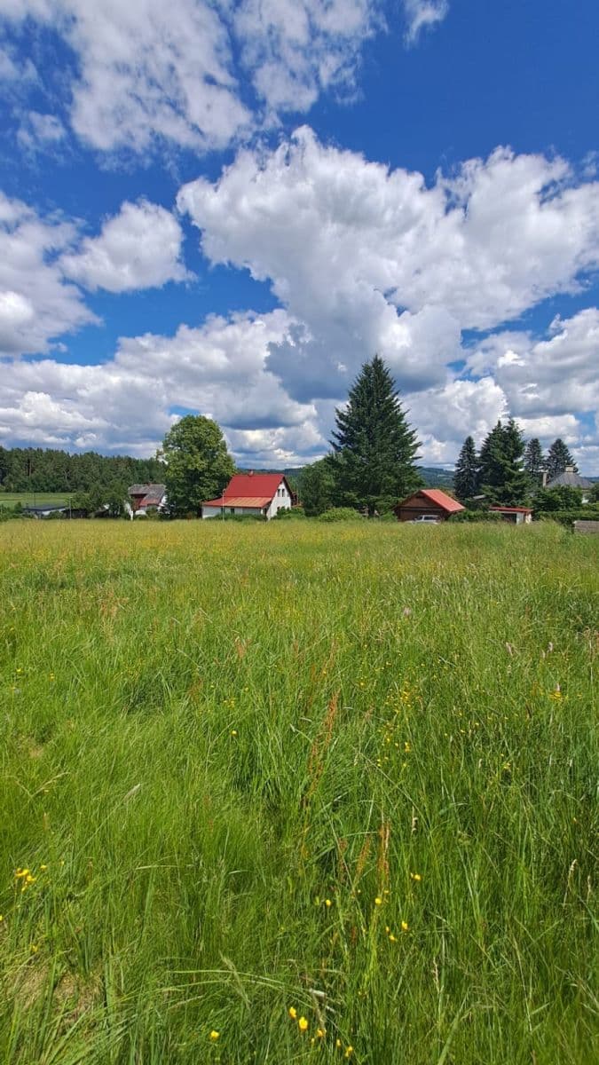 Predaj pozemku 1.293 m², Vlastiboř, Liberecký kraj Predaj pozemku 1.293 m², Vlastiboř, Liberecký kraj