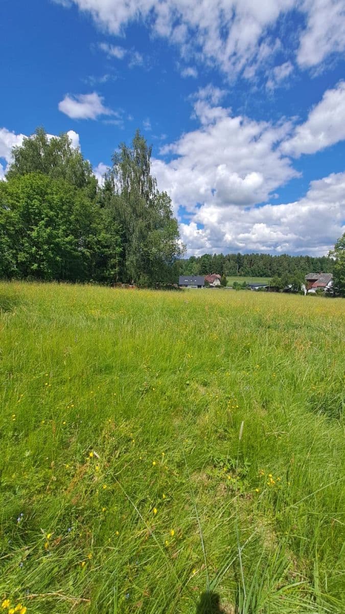 Predaj pozemku 1.293 m², Vlastiboř, Liberecký kraj Predaj pozemku 1.293 m², Vlastiboř, Liberecký kraj