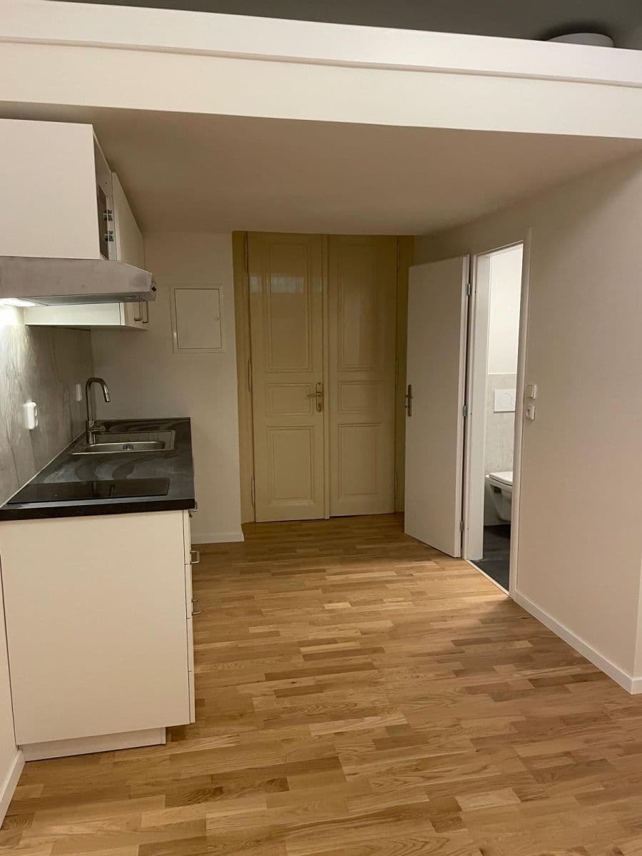 Prenájom bytu 1-izbový 19 m², Křížová, Praha, Praha Prenájom bytu 1-izbový 19 m², Křížová, Praha, Praha