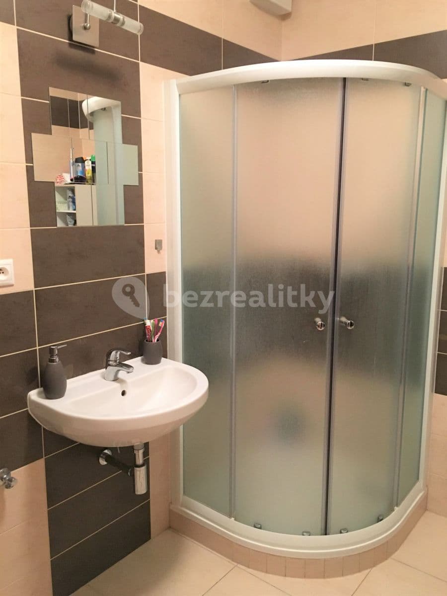 Prenájom bytu 1-izbový 41 m², Křepelčí, Brno, Jihomoravský kraj Prenájom bytu 1-izbový 41 m², Křepelčí, Brno, Jihomoravský kraj
