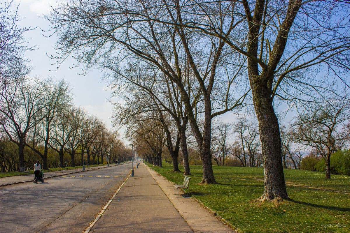 Prenájom bytu 26 m², Kališnická, Praha, Praha Prenájom bytu 26 m², Kališnická, Praha, Praha