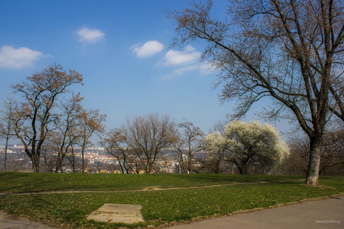 Prenájom bytu 26 m², Kališnická, Praha, Praha Prenájom bytu 26 m², Kališnická, Praha, Praha