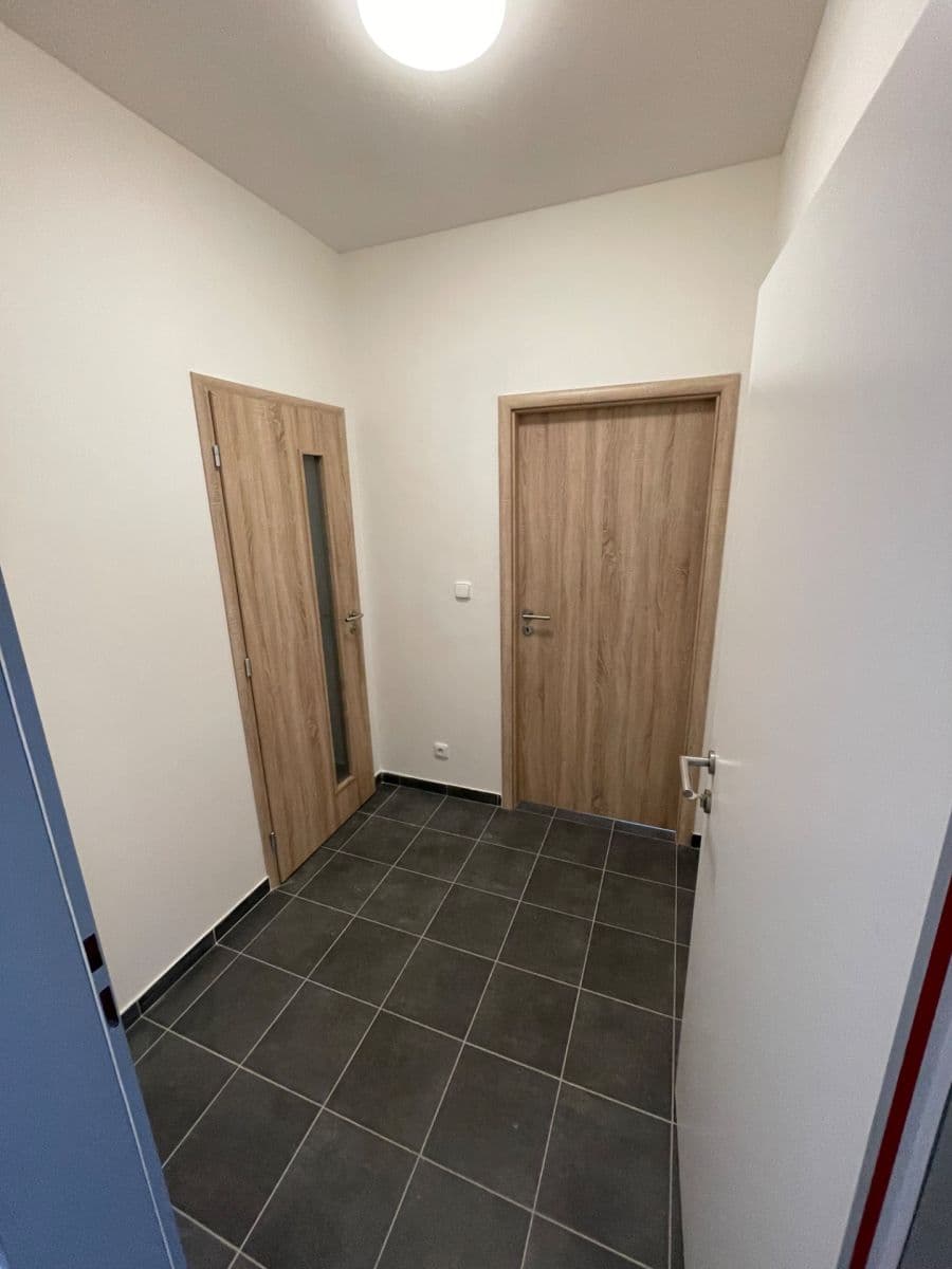 Prenájom bytu 1-izbový 30 m², Ptice, Středočeský kraj Prenájom bytu 1-izbový 30 m², Ptice, Středočeský kraj