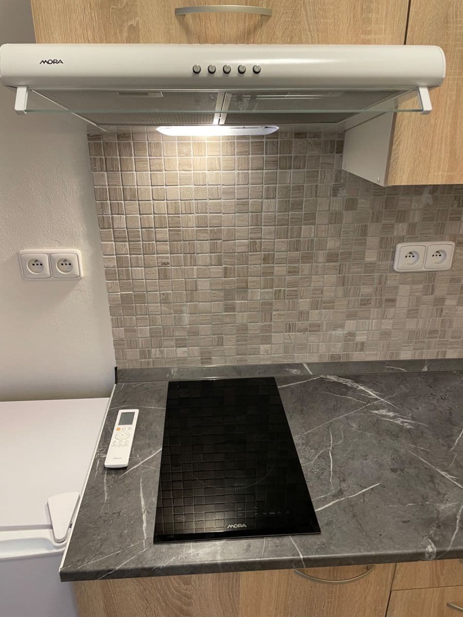 Prenájom bytu 1-izbový 30 m², Ptice, Středočeský kraj Prenájom bytu 1-izbový 30 m², Ptice, Středočeský kraj