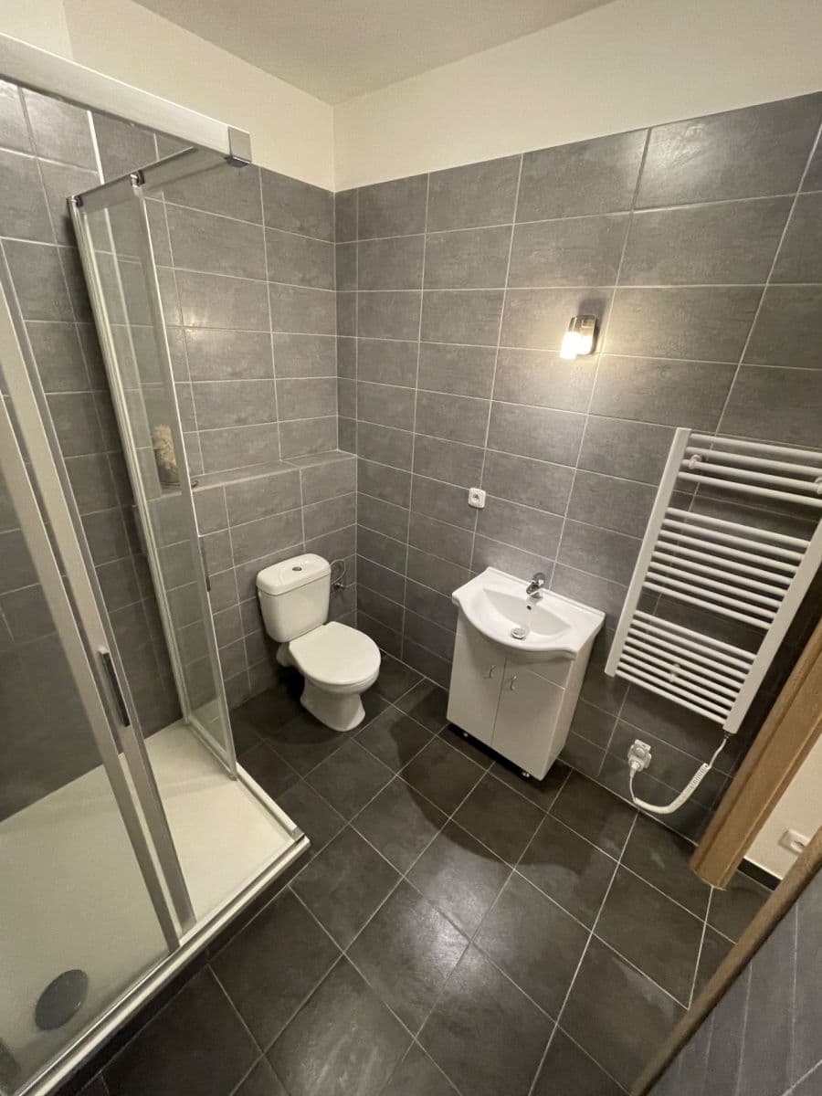 Prenájom bytu 1-izbový 30 m², Ptice, Středočeský kraj Prenájom bytu 1-izbový 30 m², Ptice, Středočeský kraj