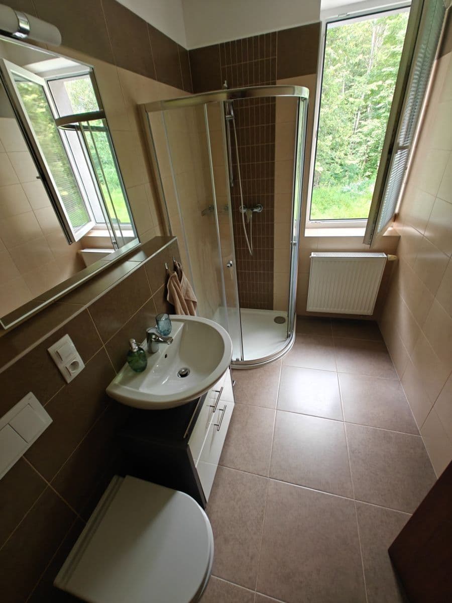 Prenájom bytu 1-izbový 29 m², U Boru, České Budějovice, Jihočeský kraj Prenájom bytu 1-izbový 29 m², U Boru, České Budějovice, Jihočeský kraj