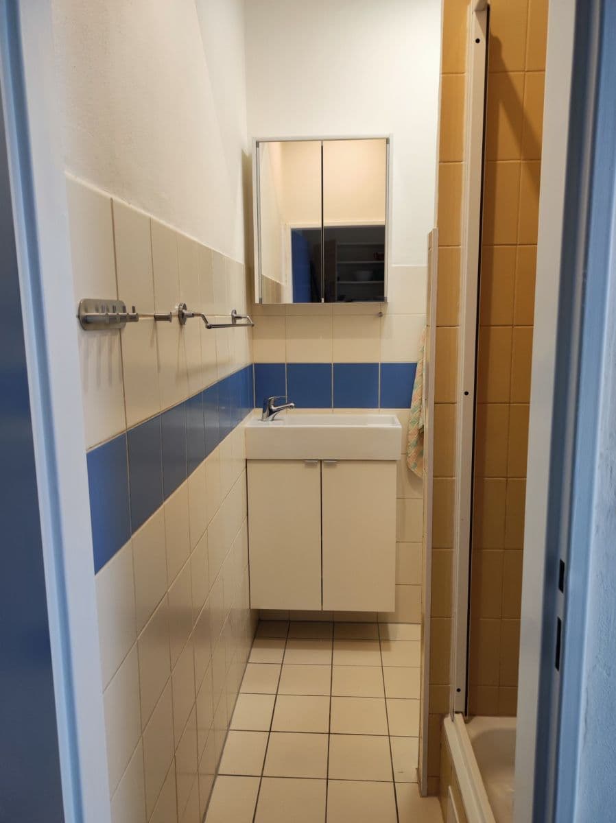 Prenájom bytu 1-izbový 24 m², Cejl, Brno, Jihomoravský kraj Prenájom bytu 1-izbový 24 m², Cejl, Brno, Jihomoravský kraj