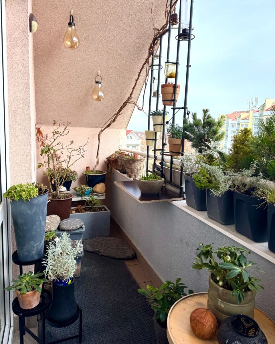 Predaj bytu 3-izbový 66 m², Žiželická, Praha, Praha Predaj bytu 3-izbový 66 m², Žiželická, Praha, Praha