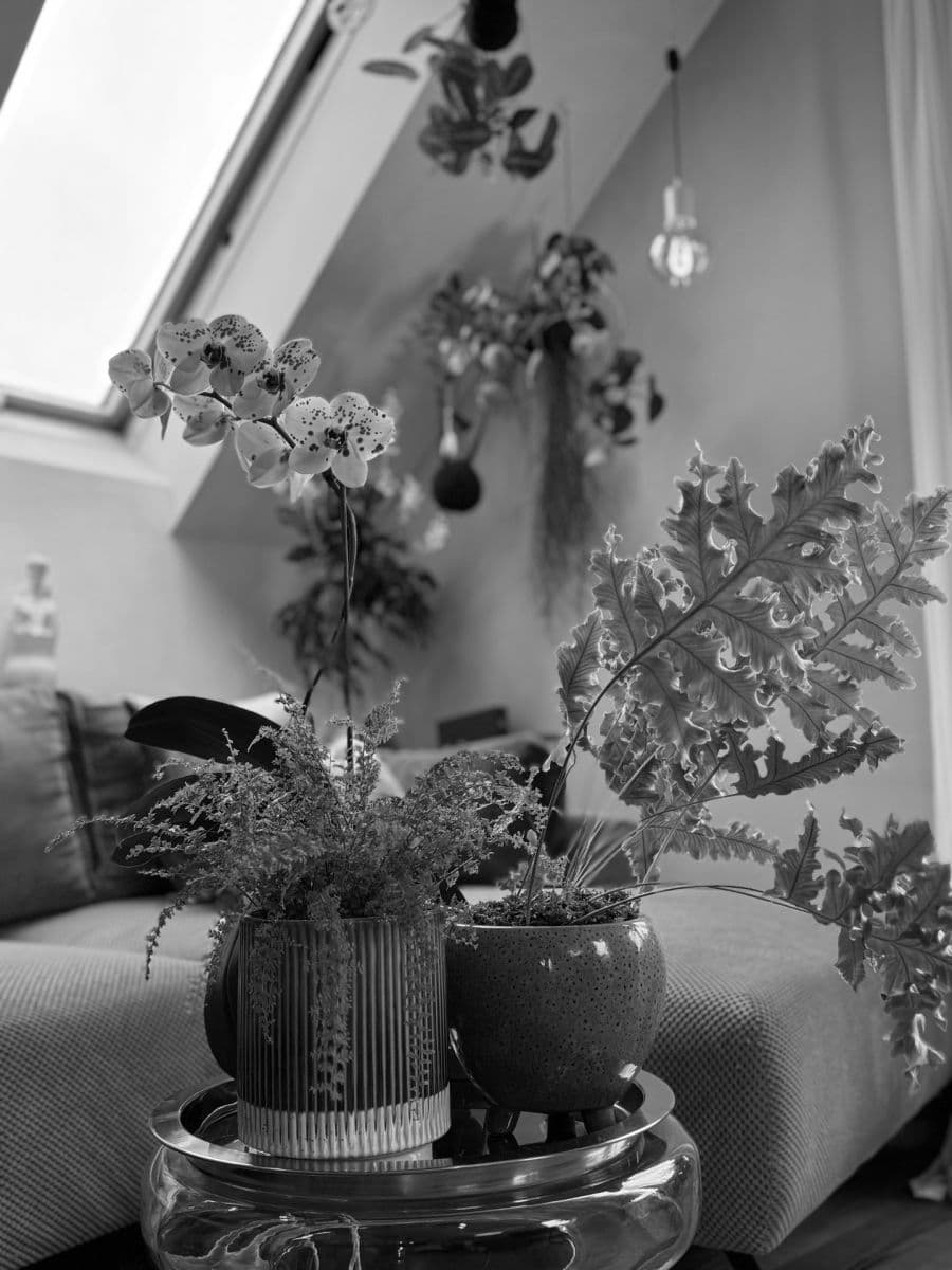 Predaj bytu 3-izbový 66 m², Žiželická, Praha, Praha Predaj bytu 3-izbový 66 m², Žiželická, Praha, Praha