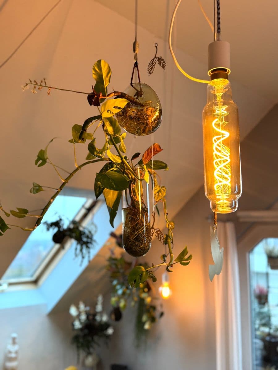 Predaj bytu 3-izbový 66 m², Žiželická, Praha, Praha Predaj bytu 3-izbový 66 m², Žiželická, Praha, Praha