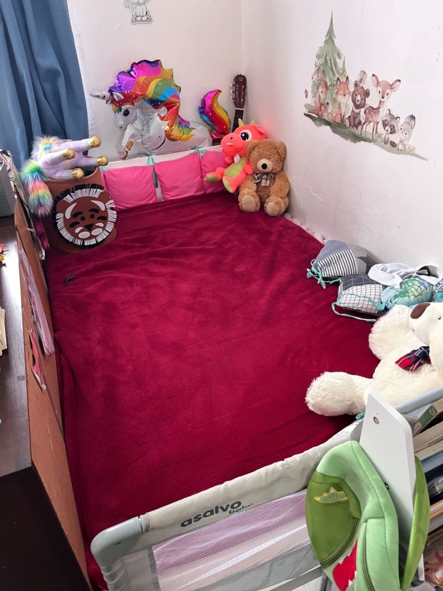 Prenájom domu 100 m², pozemek 200 m², Dudychova, Holice, Pardubický kraj Prenájom domu 100 m², pozemek 200 m², Dudychova, Holice, Pardubický kraj