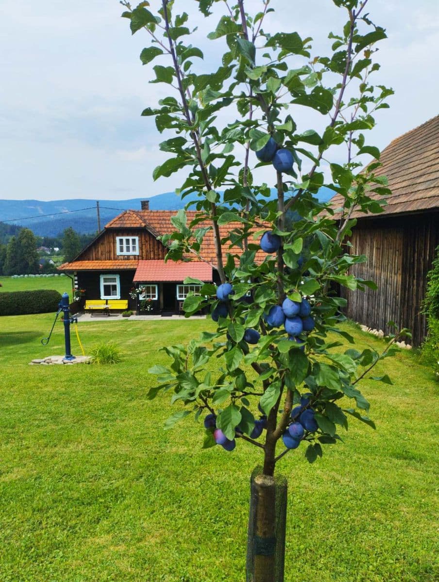 Prenájom rekreačného objektu, Hutisko-Solanec, Zlínský kraj Prenájom rekreačného objektu, Hutisko-Solanec, Zlínský kraj