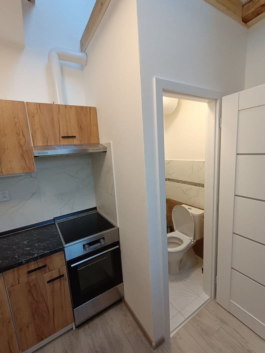 Prenájom bytu 1-izbový 20 m², Padělíky, Brno, Jihomoravský kraj Prenájom bytu 1-izbový 20 m², Padělíky, Brno, Jihomoravský kraj
