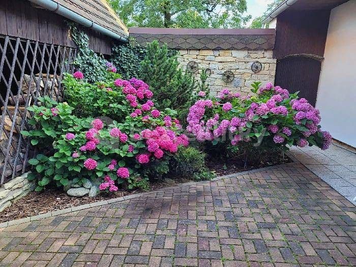 Prenájom rekreačného objektu, Javorník, Pardubický kraj Prenájom rekreačného objektu, Javorník, Pardubický kraj