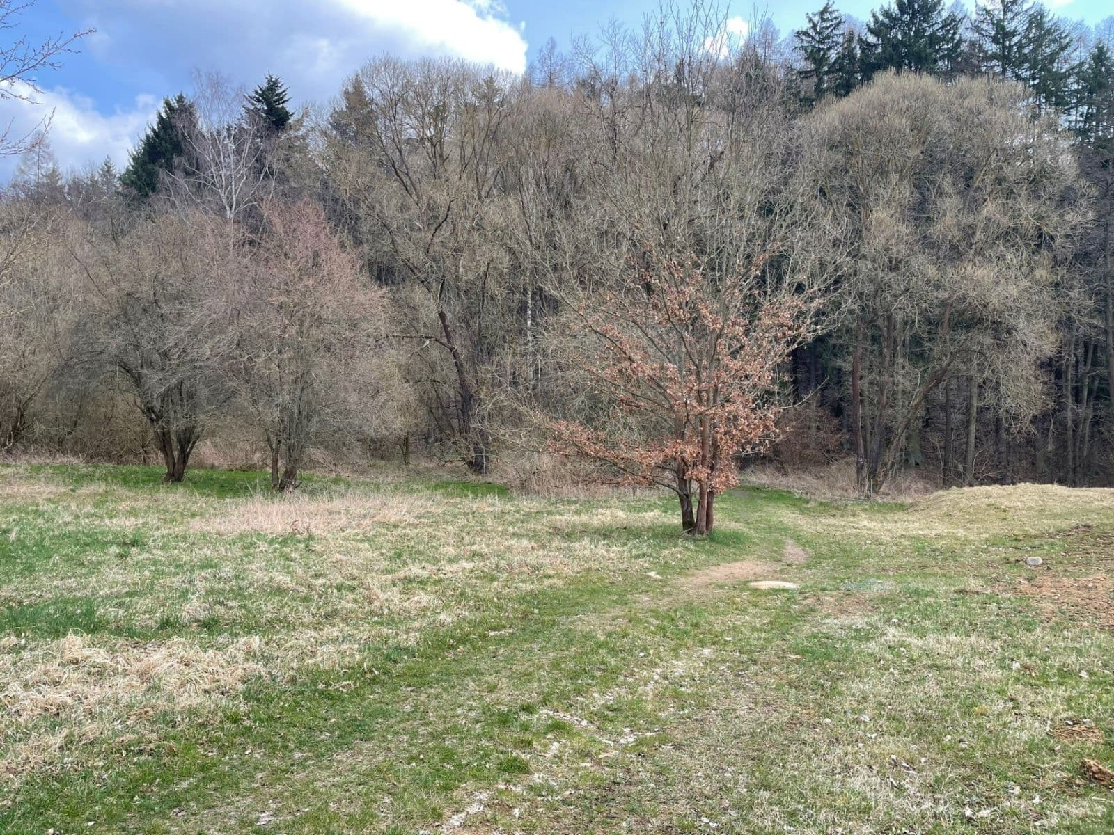 Predaj pozemku 4.987 m², Mnichovice, Středočeský kraj Predaj pozemku 4.987 m², Mnichovice, Středočeský kraj