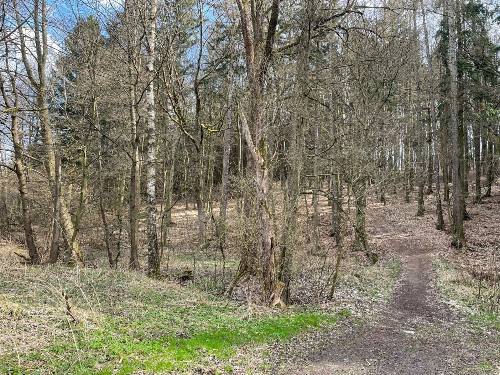 Predaj pozemku 4.987 m², Mnichovice, Středočeský kraj Predaj pozemku 4.987 m², Mnichovice, Středočeský kraj