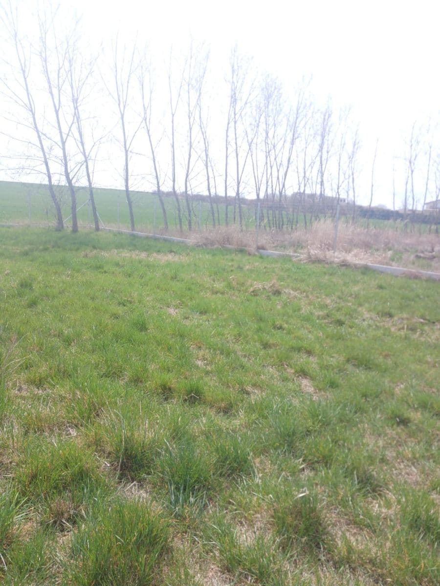 Predaj pozemku 800 m², Bavoryně, Středočeský kraj Predaj pozemku 800 m², Bavoryně, Středočeský kraj