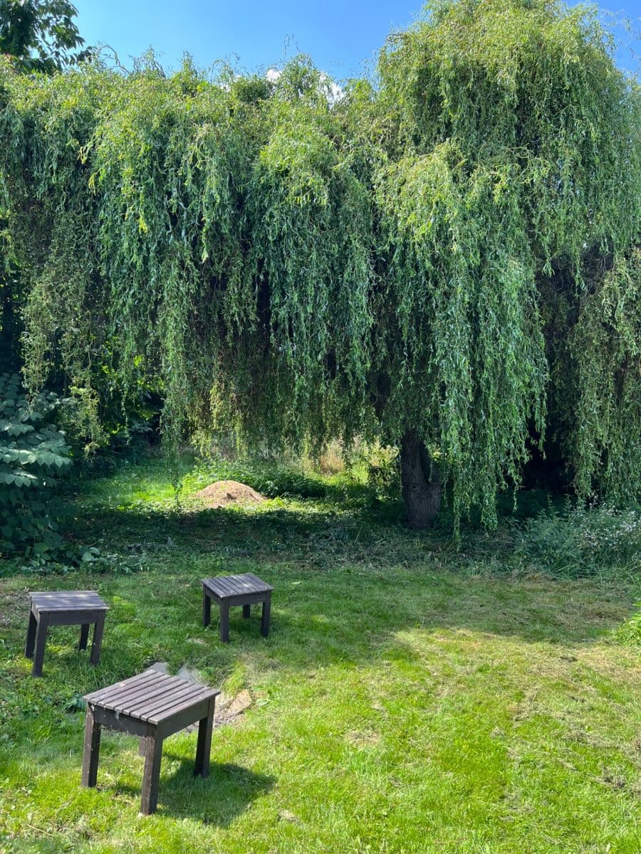 Predaj domu 226 m², pozemek 1.000 m², Štíhlice, Středočeský kraj Predaj domu 226 m², pozemek 1.000 m², Štíhlice, Středočeský kraj