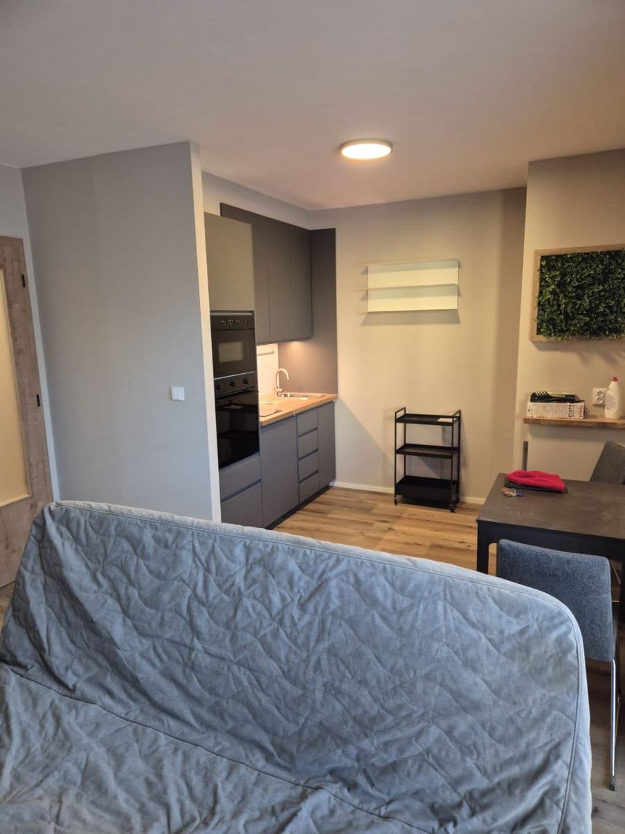 Prenájom bytu 2-izbový 30 m², Křižíkova, Praha, Praha Prenájom bytu 2-izbový 30 m², Křižíkova, Praha, Praha