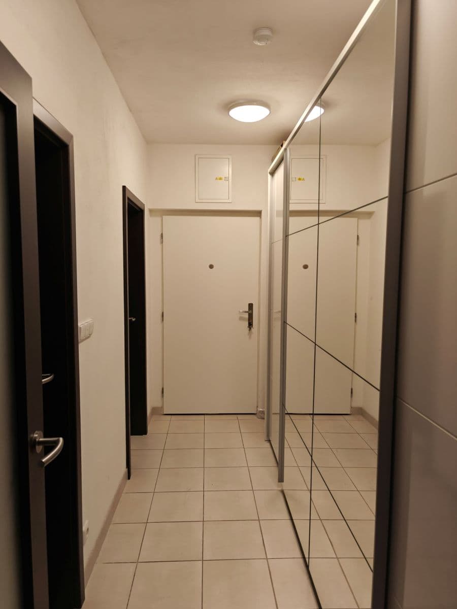 Prenájom bytu 1-izbový 45 m², Božetěchova, Brno, Jihomoravský kraj Prenájom bytu 1-izbový 45 m², Božetěchova, Brno, Jihomoravský kraj