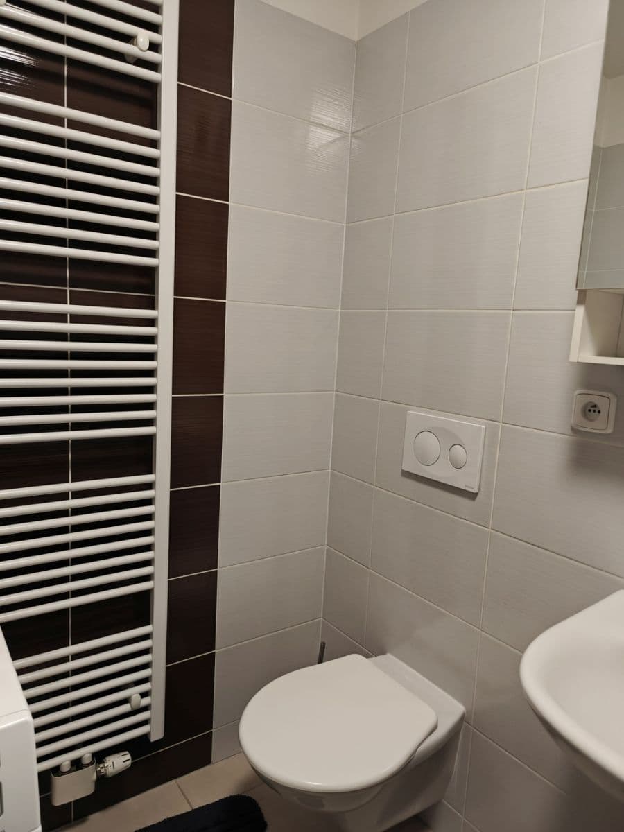 Prenájom bytu 1-izbový 45 m², Božetěchova, Brno, Jihomoravský kraj Prenájom bytu 1-izbový 45 m², Božetěchova, Brno, Jihomoravský kraj