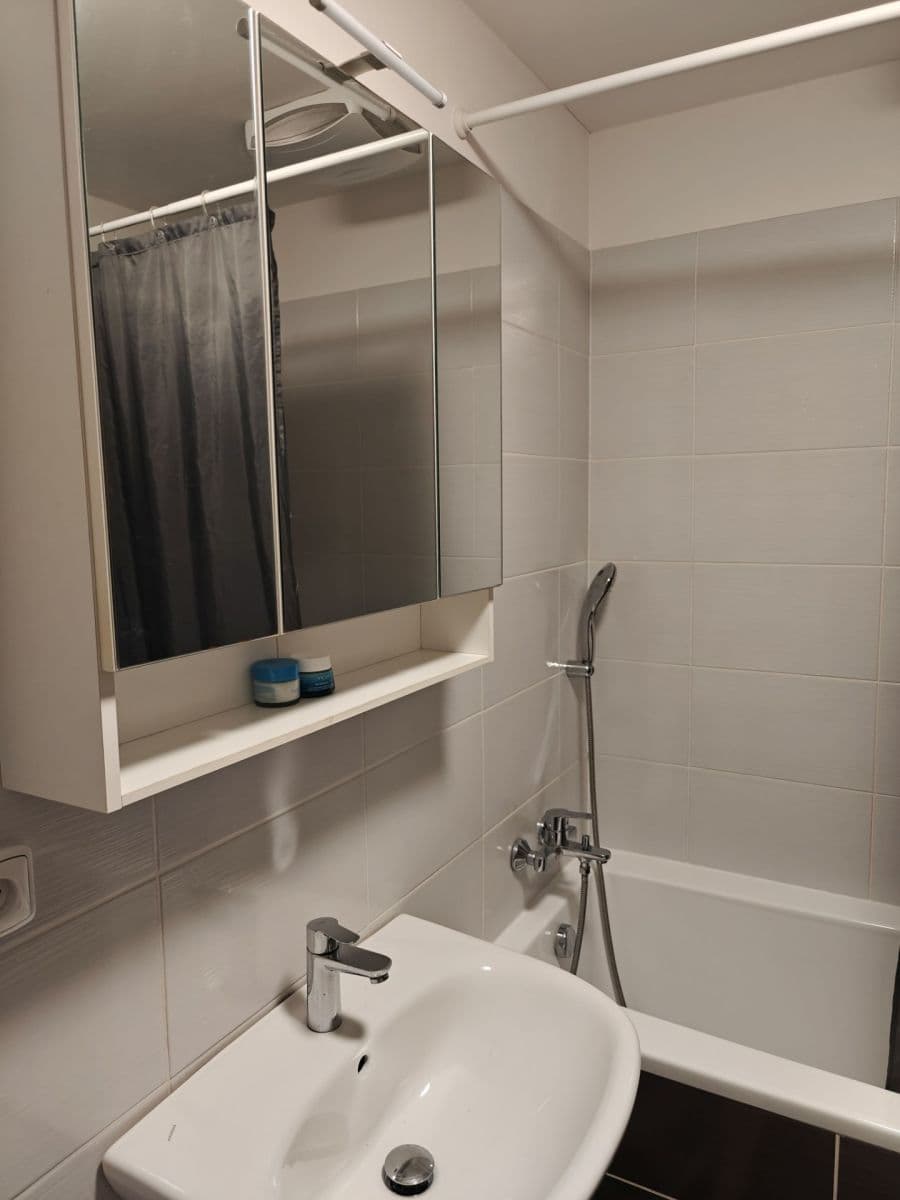 Prenájom bytu 1-izbový 45 m², Božetěchova, Brno, Jihomoravský kraj Prenájom bytu 1-izbový 45 m², Božetěchova, Brno, Jihomoravský kraj