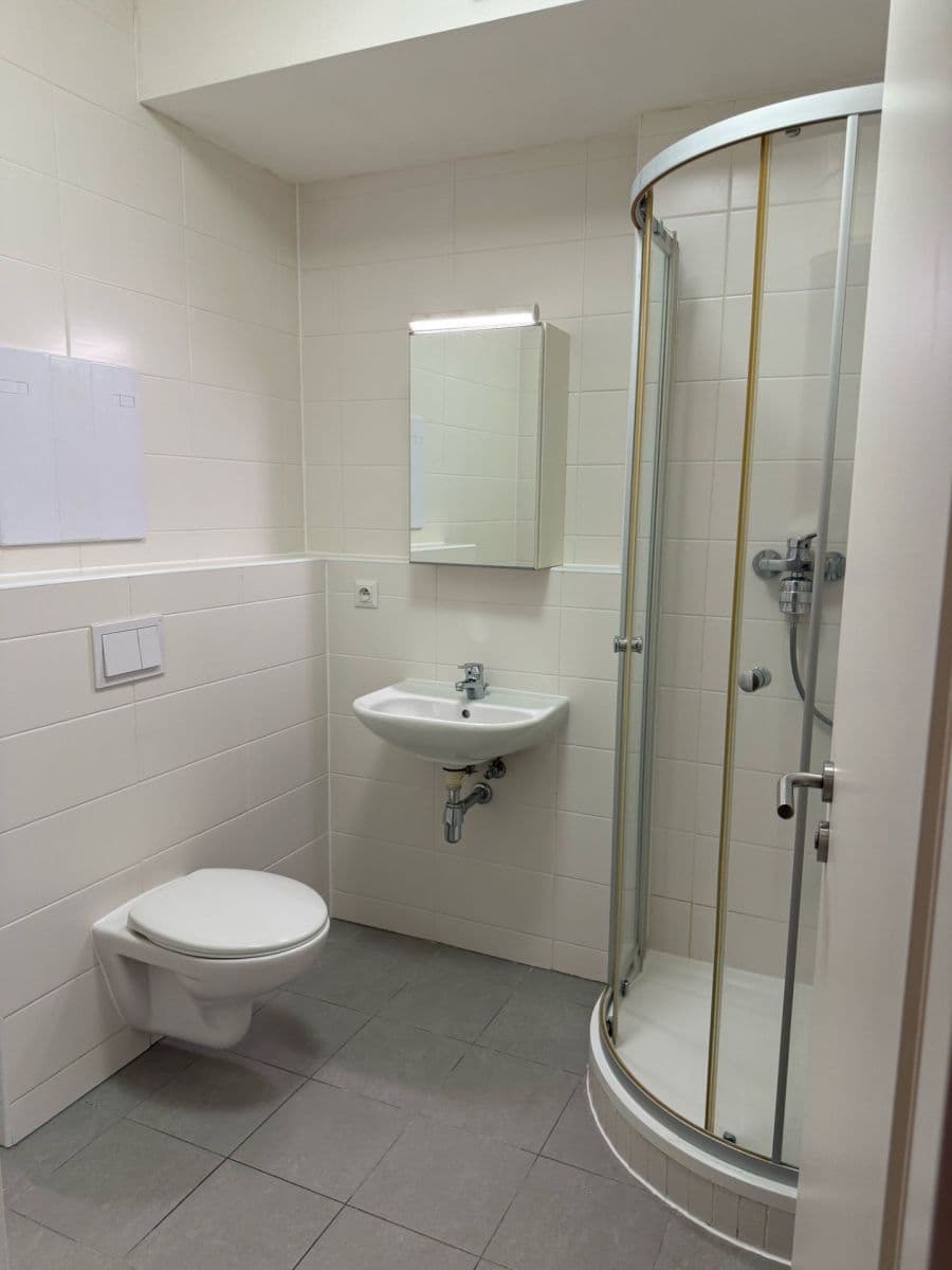 Prenájom bytu 1-izbový 38 m², Olgy Havlové, Praha, Praha Prenájom bytu 1-izbový 38 m², Olgy Havlové, Praha, Praha