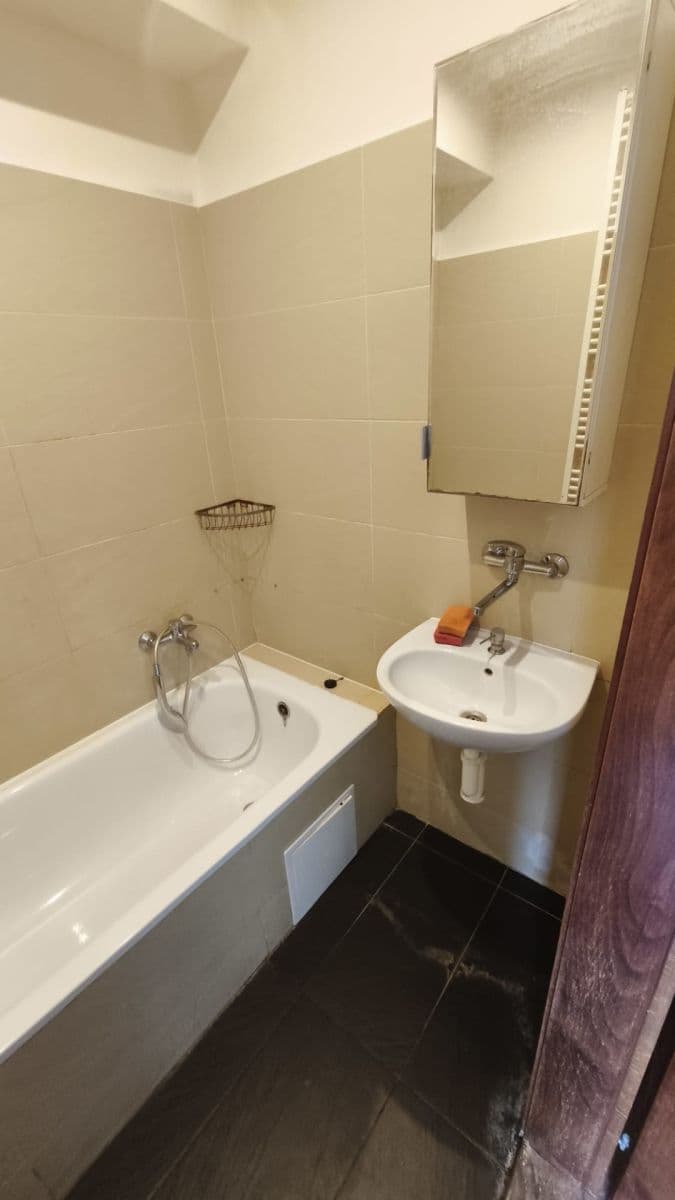 Prenájom bytu 1-izbový 45 m², Puškinova, Prostějov, Olomoucký kraj Prenájom bytu 1-izbový 45 m², Puškinova, Prostějov, Olomoucký kraj